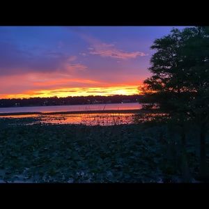 Meet your Posher, Mona